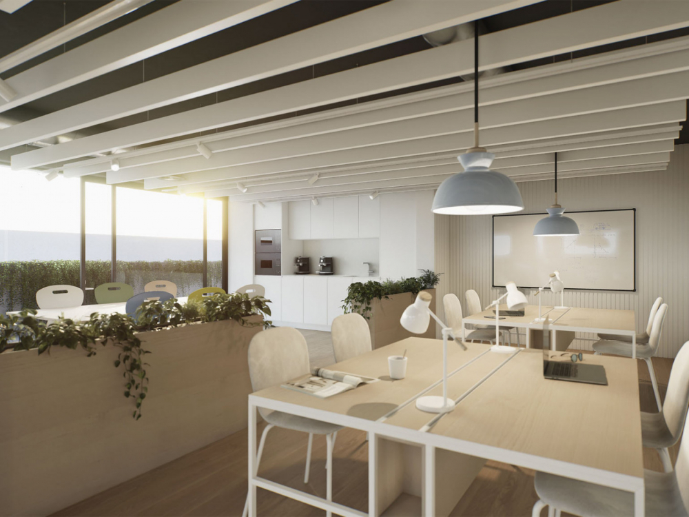 Markiz Homes - Your Gateway to Exceptional Real Estate