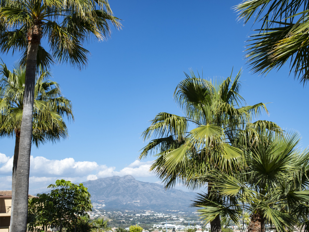 продажа недвижимости в Турции