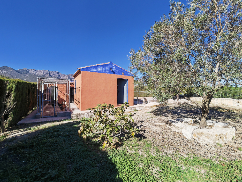 продажа недвижимости в Турции