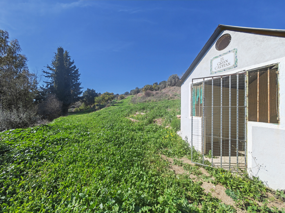 продажа недвижимости в Турции