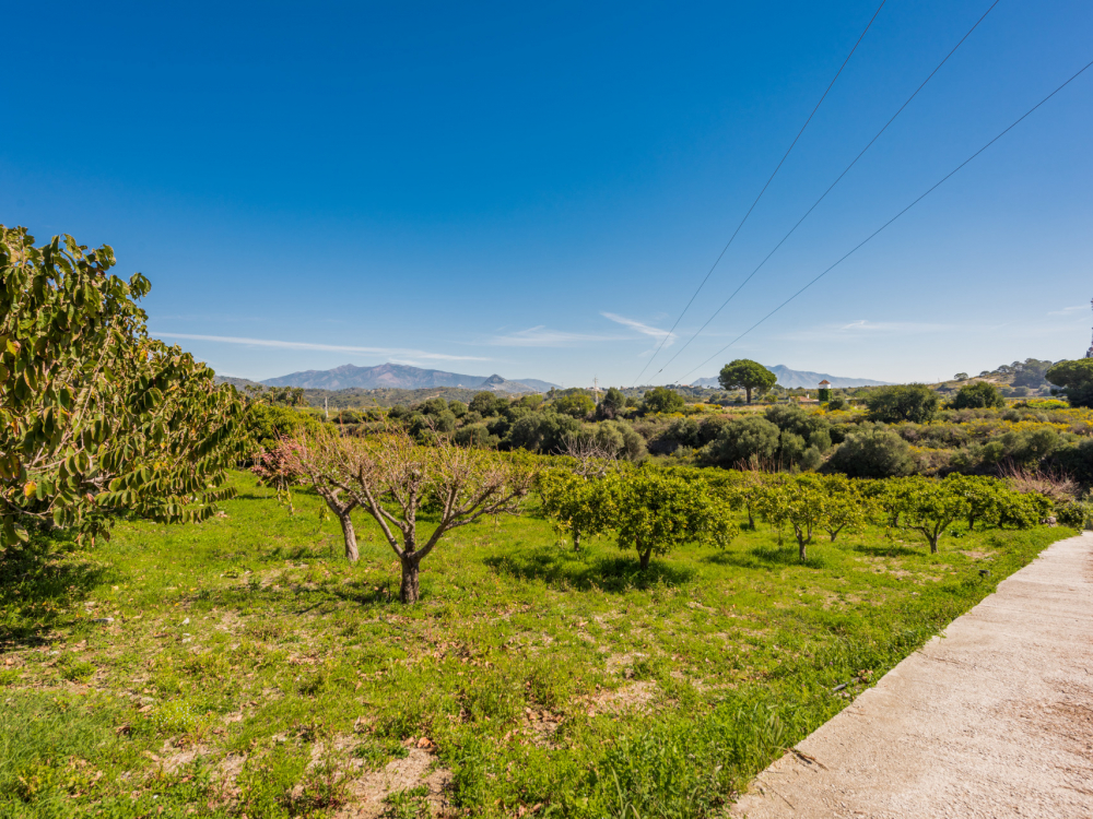 продажа недвижимости в Турции