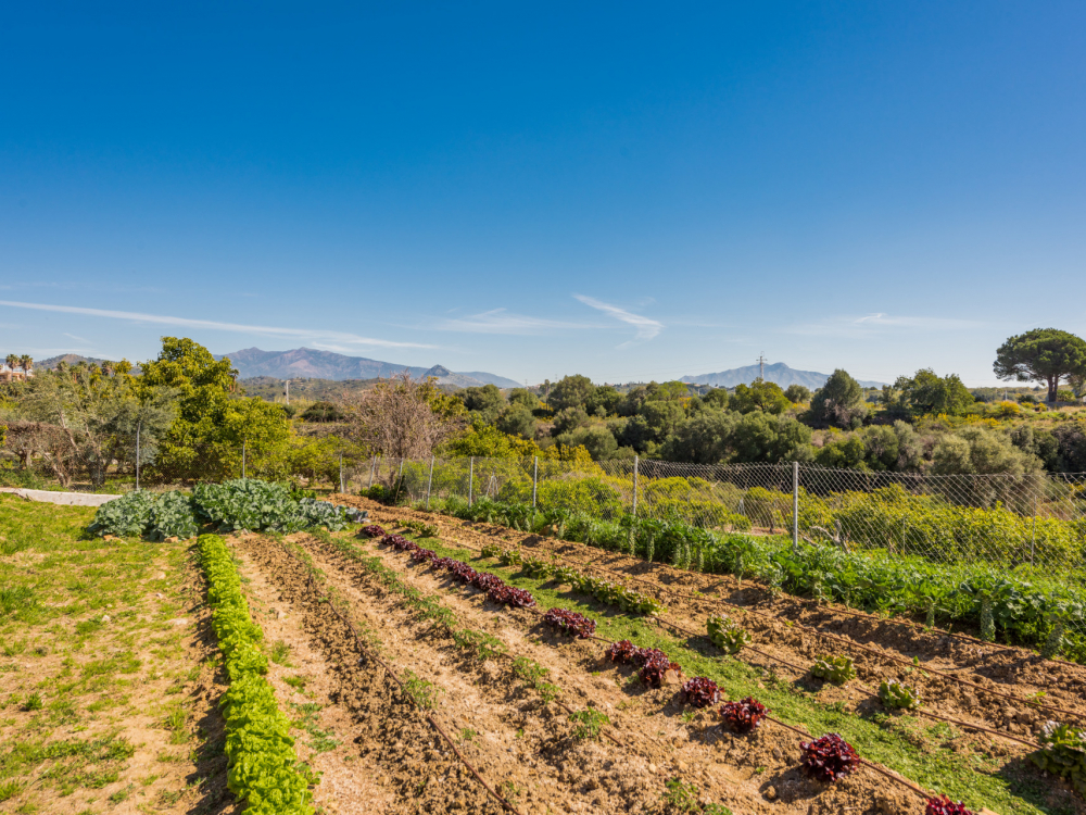продажа недвижимости в Турции