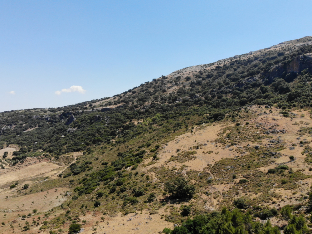 продажа недвижимости в Турции