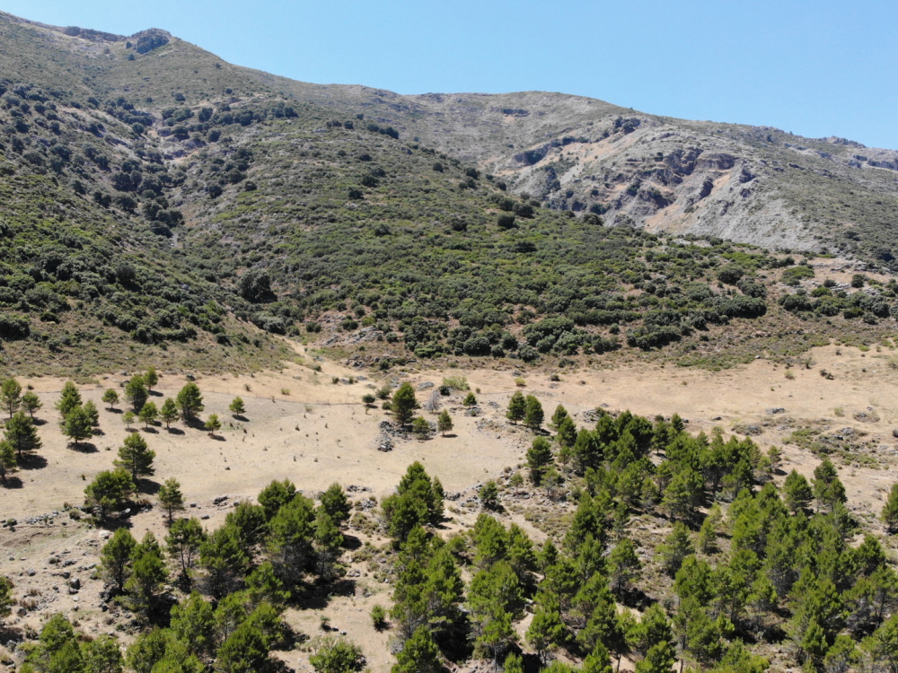 продажа недвижимости в Турции