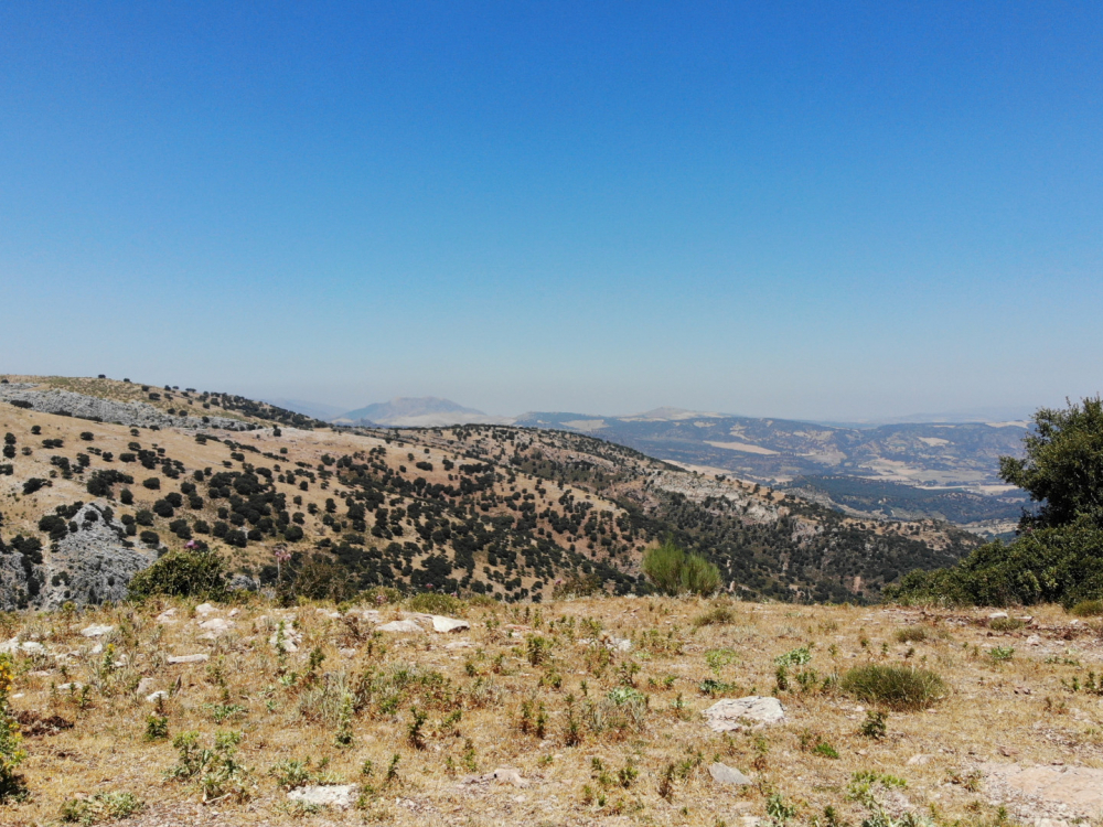 продажа недвижимости в Турции